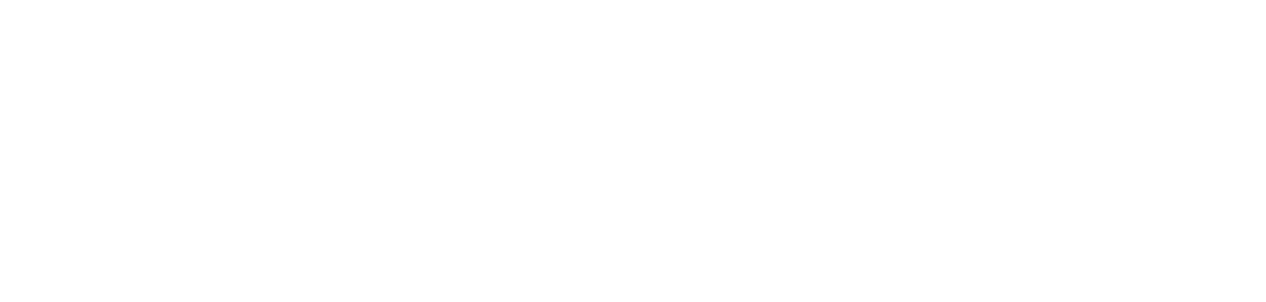 AMD_Logo_White