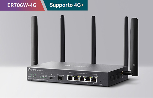 img-ER706W-4G