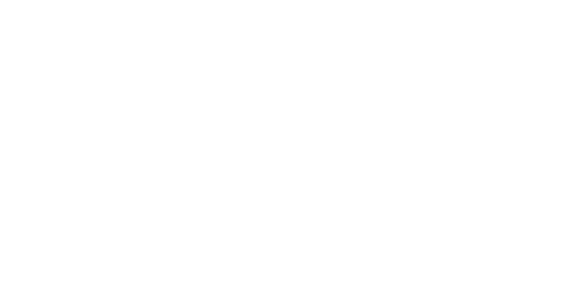 logo-Zhp