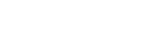 logo-A1N