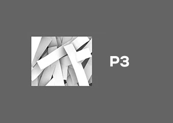 P3
