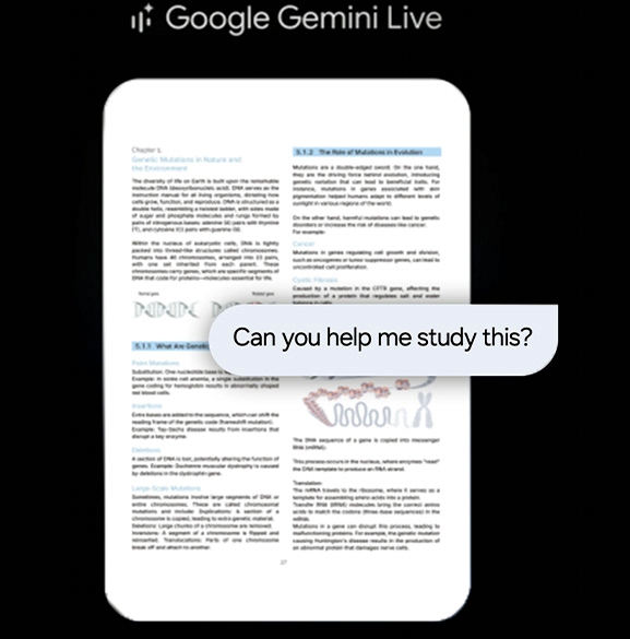 screen di una conversazione con Google Gemini