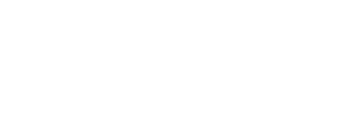 logo-dassault-systemes-white